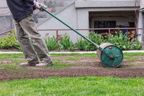 Using a roller to level garden soil