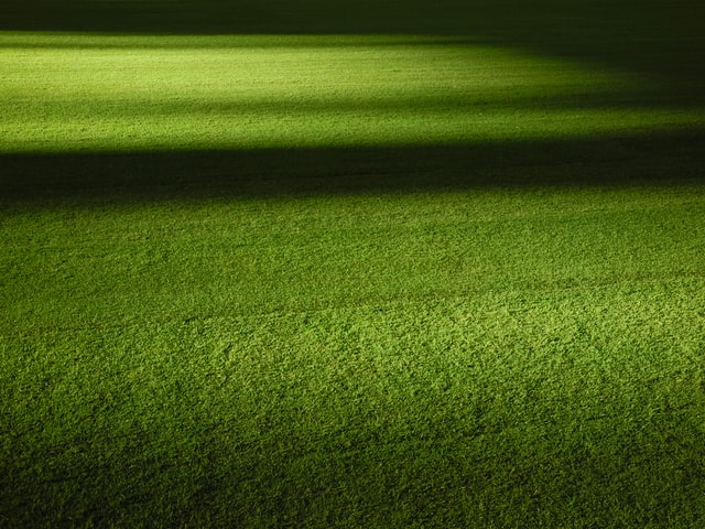 Perfect artificial lawn surface 