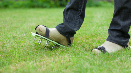 Aerator sandals attached to garden clogs