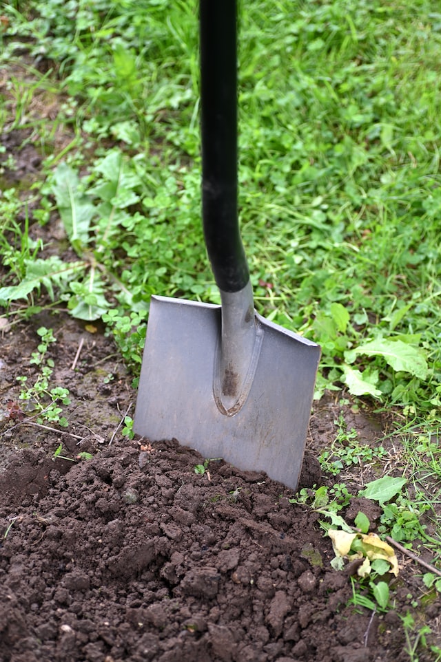 Digging with a garden spade
