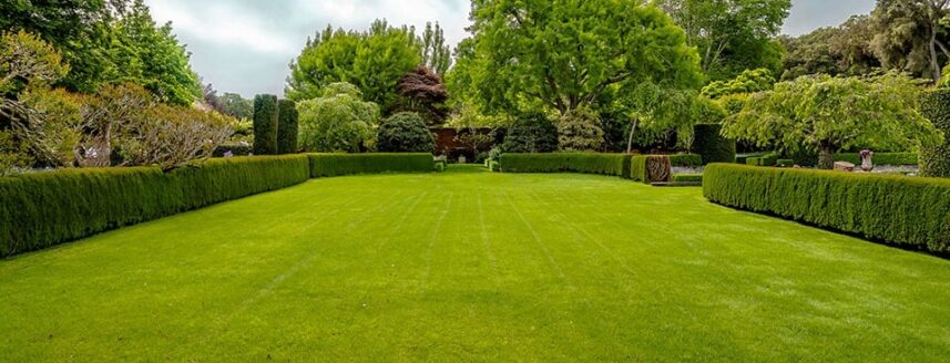 An example lawn with the size of 250 square metres