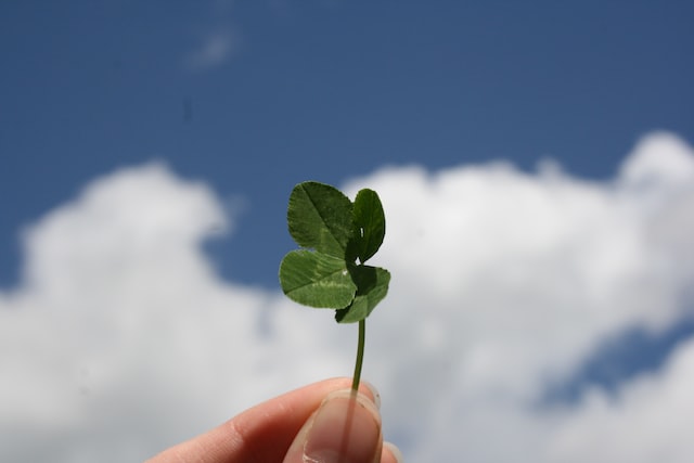 Holding a clover leaf with the sky in the background