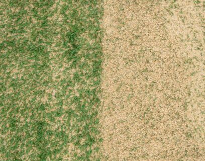 Adding sand-based topdressing to lawn