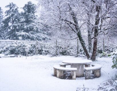 Snow-covered back garden