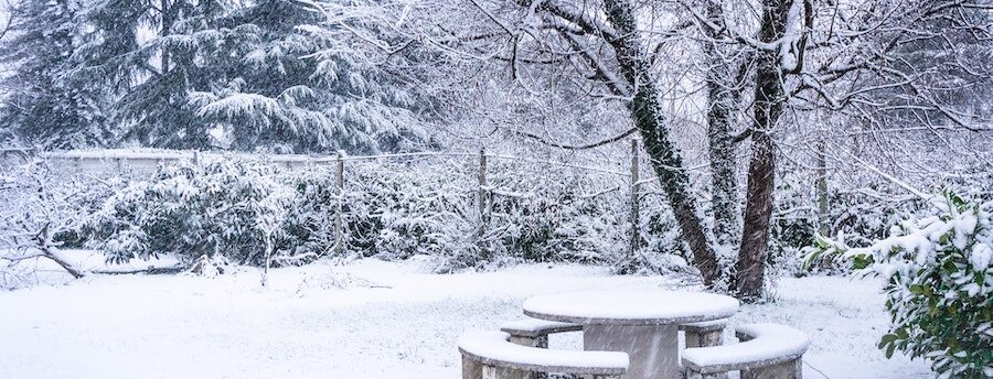 Snow-covered back garden