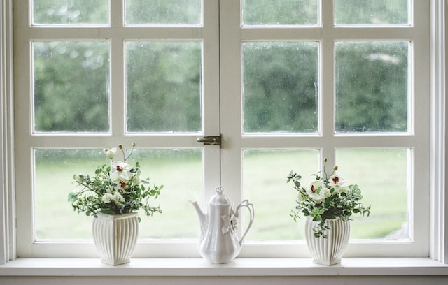 Plants on a window sill