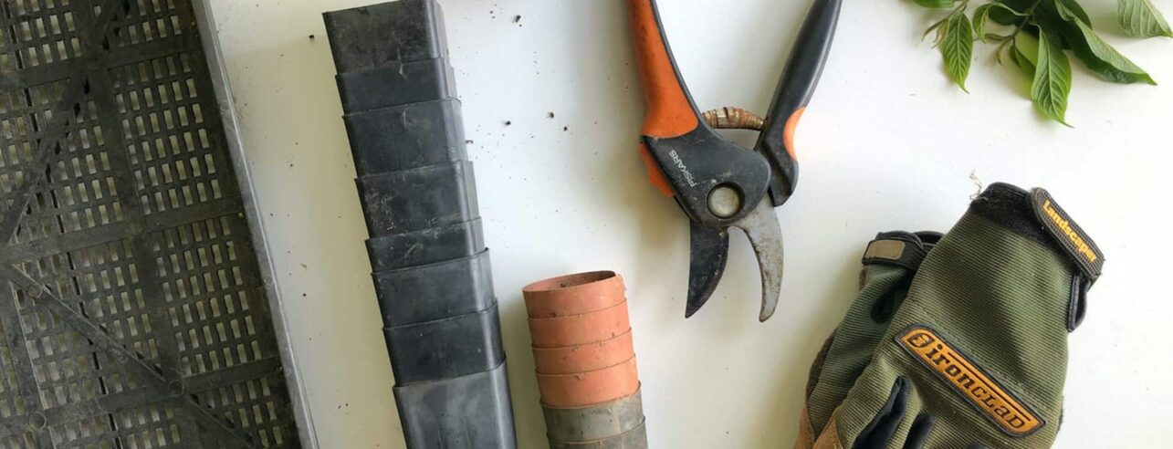 Gardening tools on a white worktop