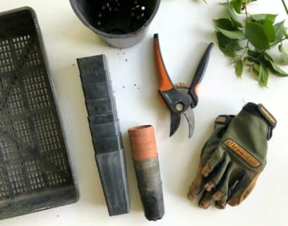 Gardening tools on a white worktop