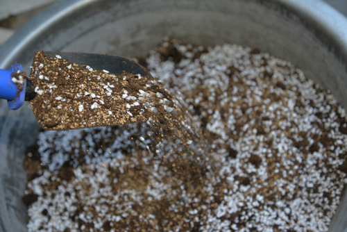 Perlite potting mix