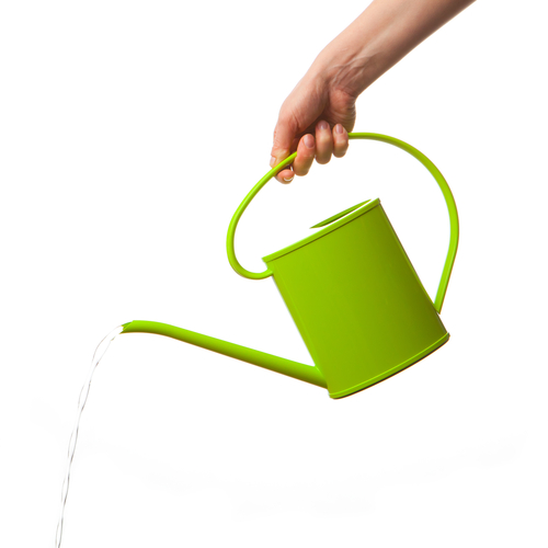 Watering can