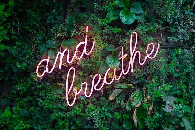 Neon sign saying "and breathe" amongst dense green foliage