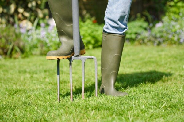 Using a garden fork to aerate a lawn