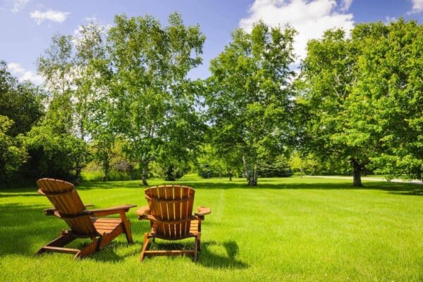 Sunny lawn with two chairs 