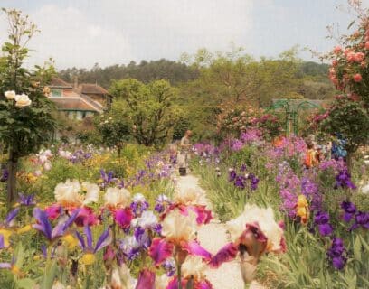 Beautiful spring garden