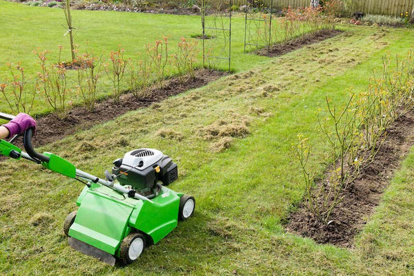 Scarifying a lawn