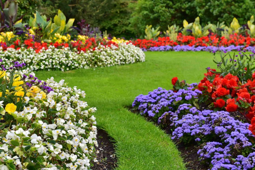 Lovely tidy garden with abundant flower beds