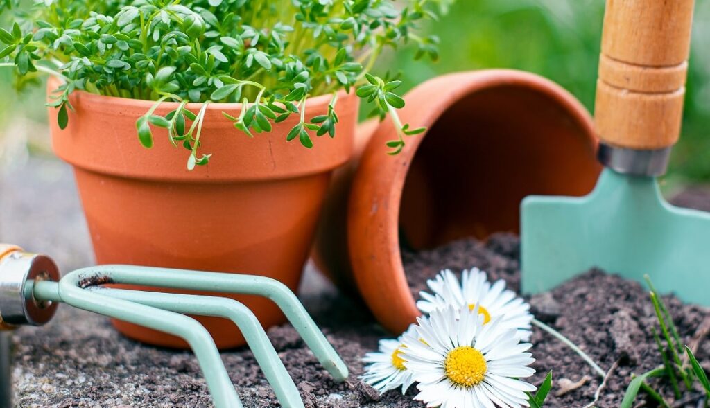 Plant pots and gardening hand tools