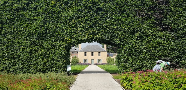 Beautifully sculpted beech hedge over a driveway. 