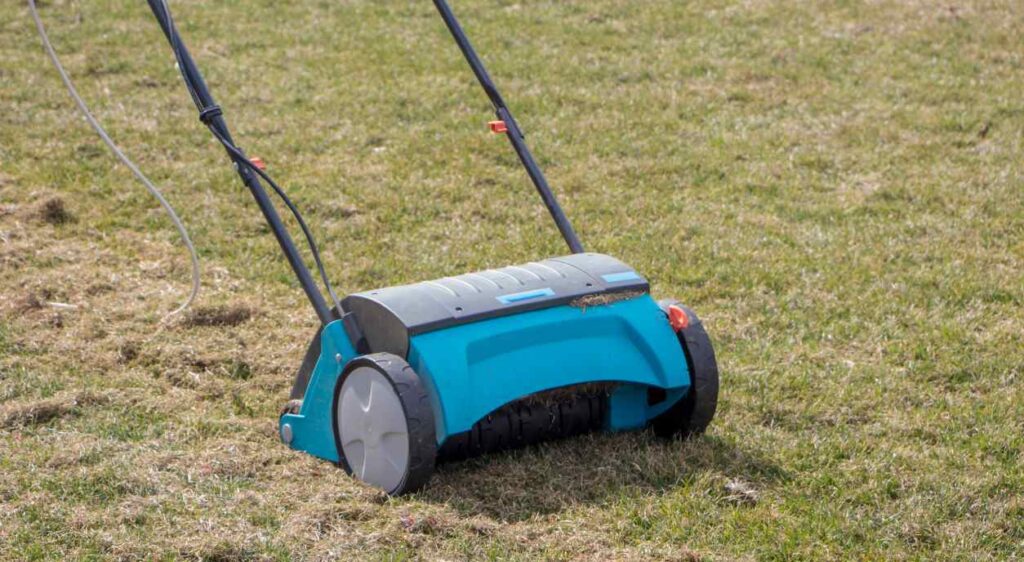 A electric scarifier on a moss-filled lawn