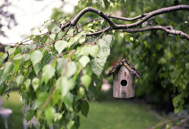 A birdhouse in a tree
