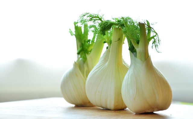 Fennel  bulbs