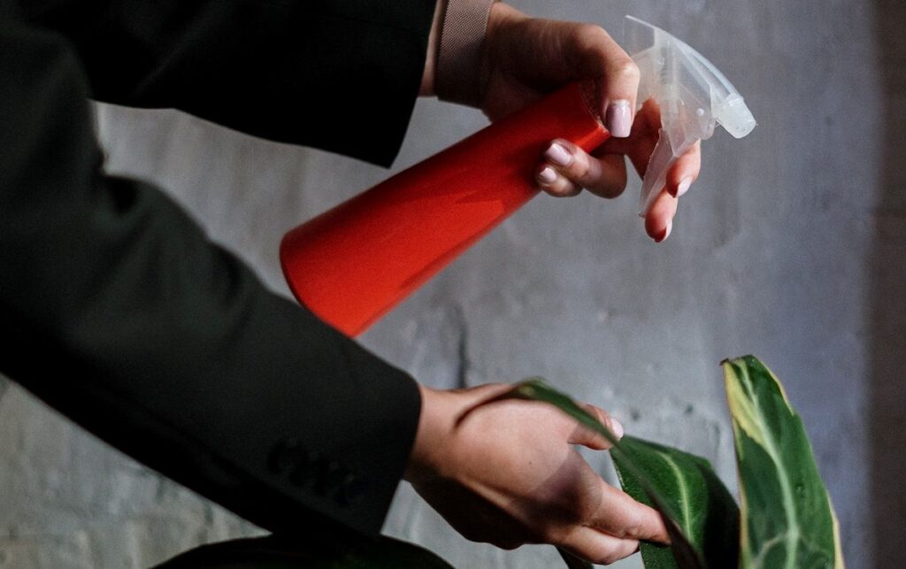 A woman spraying a plant with a water spray bottle. 