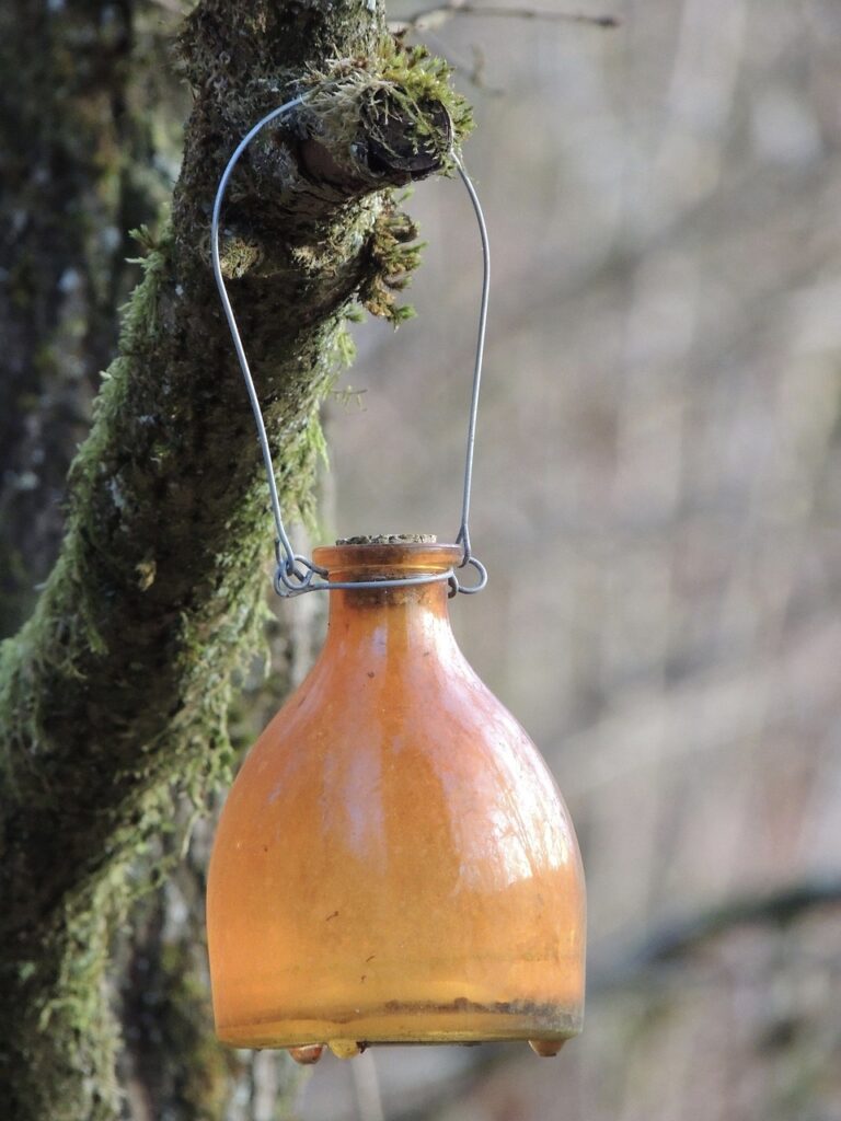 Wasp trap hanging in a tree