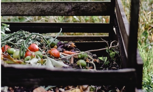 Compost heap 