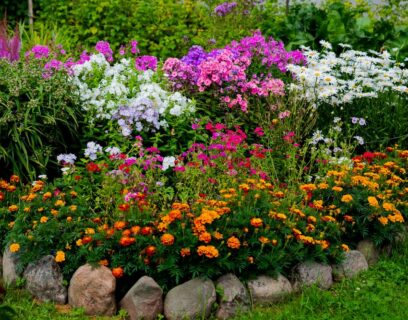 A flowerbed of established perennial flowering plants