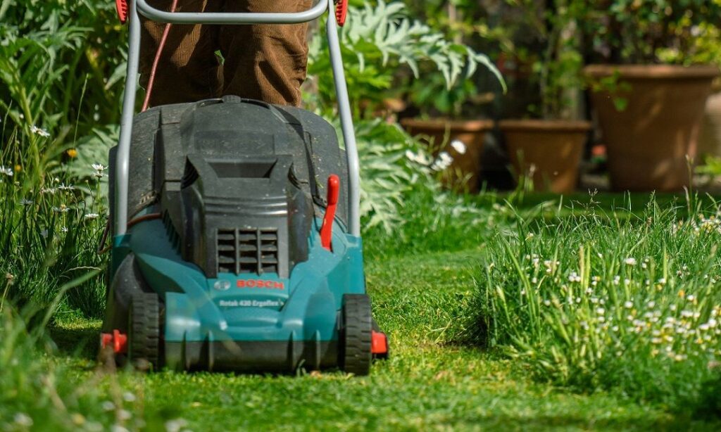 A man mowing a lawn with an electric mower