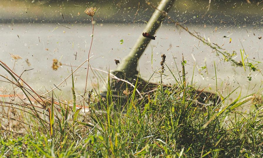 A grass strimmer slicing through grass. 