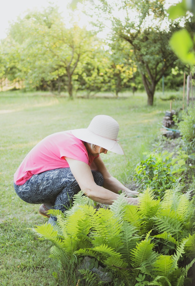 A woman crouching down while gardneing