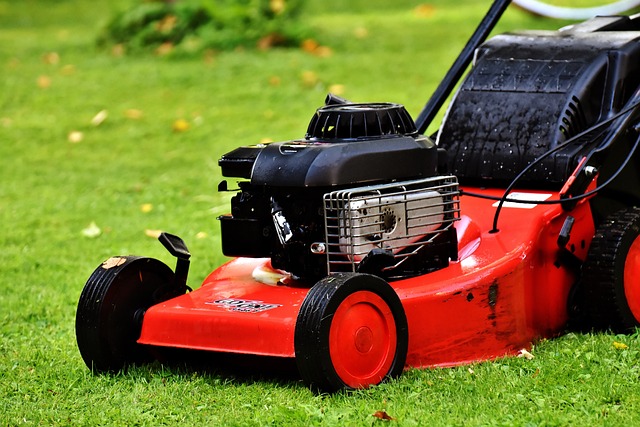 A red lawn mower on green grass
