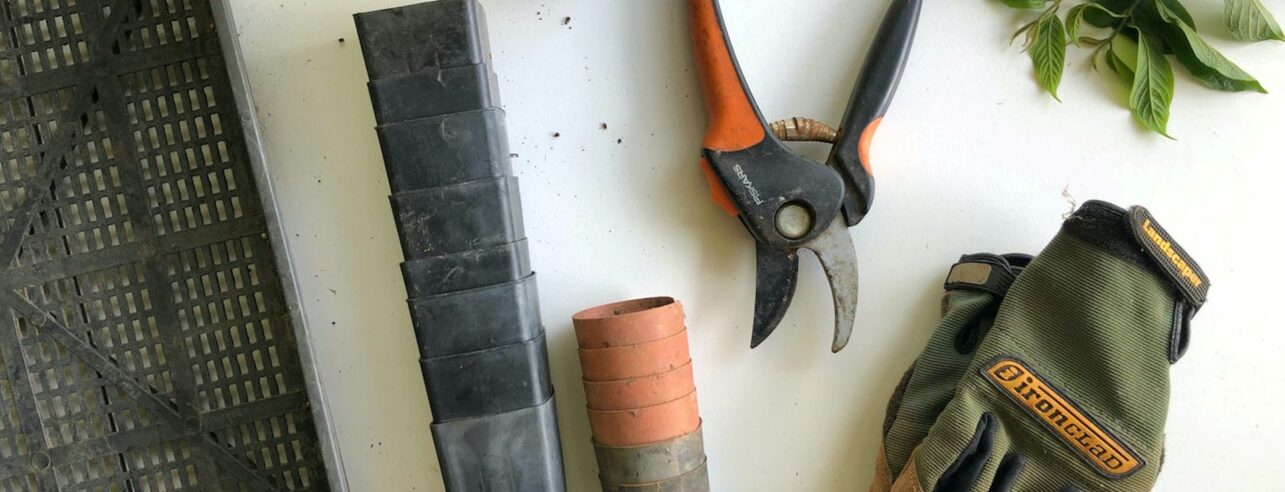 Pruning tools on a table