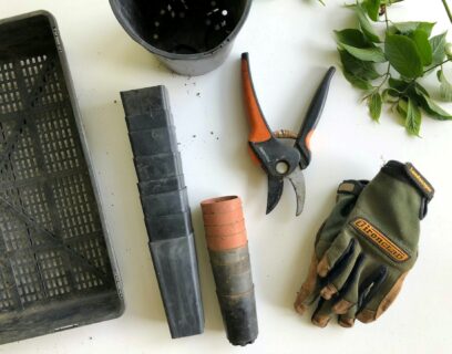 Pruning tools on a table