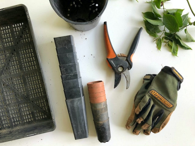 Pruning tools on a desk