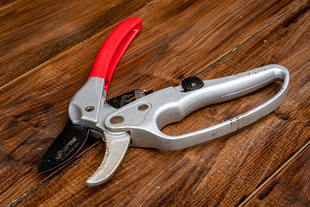Pruning shears, sitting on a table. 