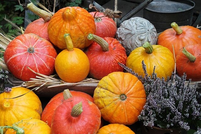 Multiple Colourful pumpkins
