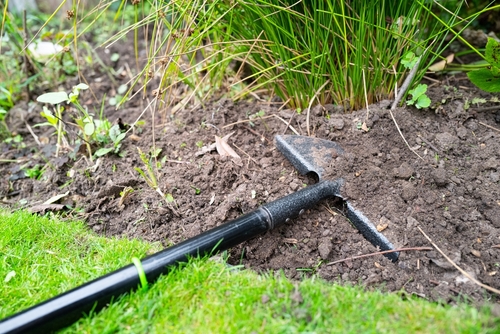 A half moon lawn edger with a straight-edged lawn.