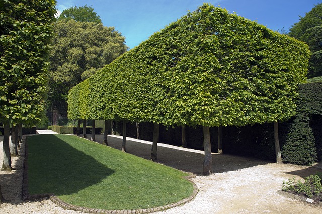 A curved lawn edge finished with a flat brick border. 