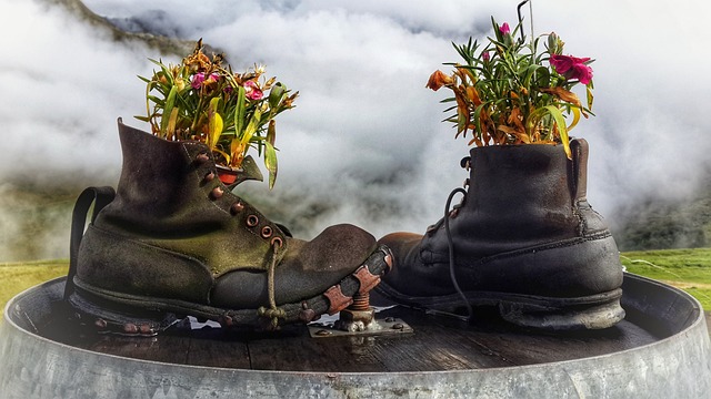 Flowers growing out of a pair of old boots. 