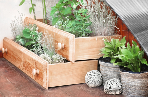 Old drawers used as planters for herbs