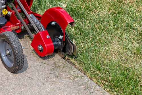 A powered lawn edger creating a sharp lined edge in a lawn.