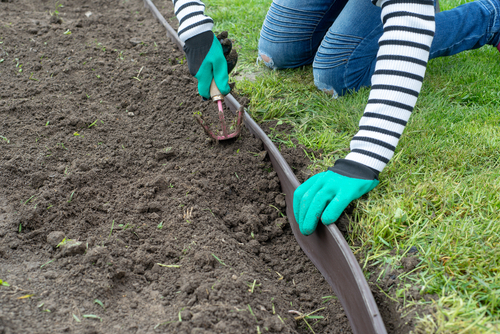 A person fitting some plastic lawn edging