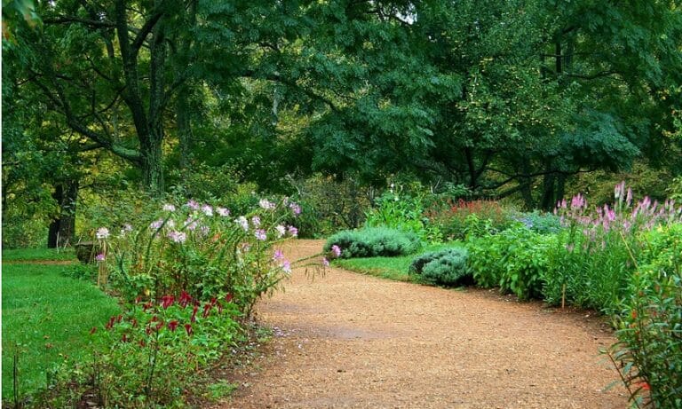 A winding gravel path in a garden