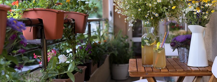 A lovely balcony garden