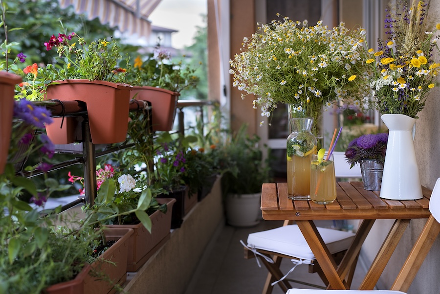 A lovely balcony garden