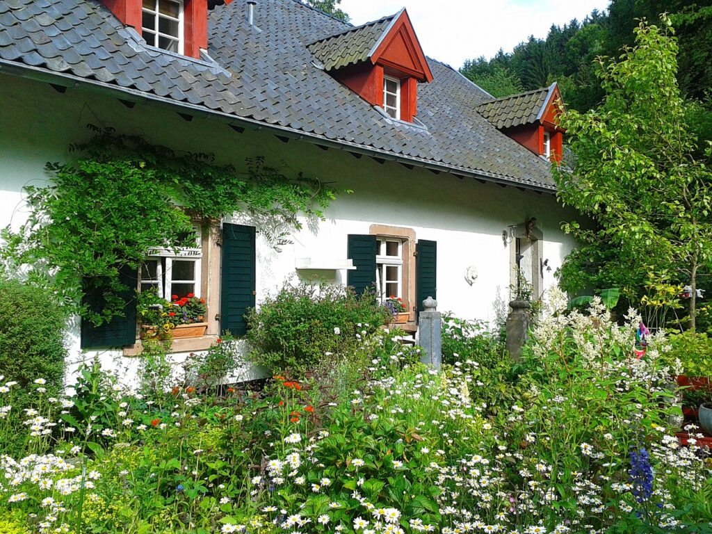 A cottage garden with an abundance of flowering plants. 