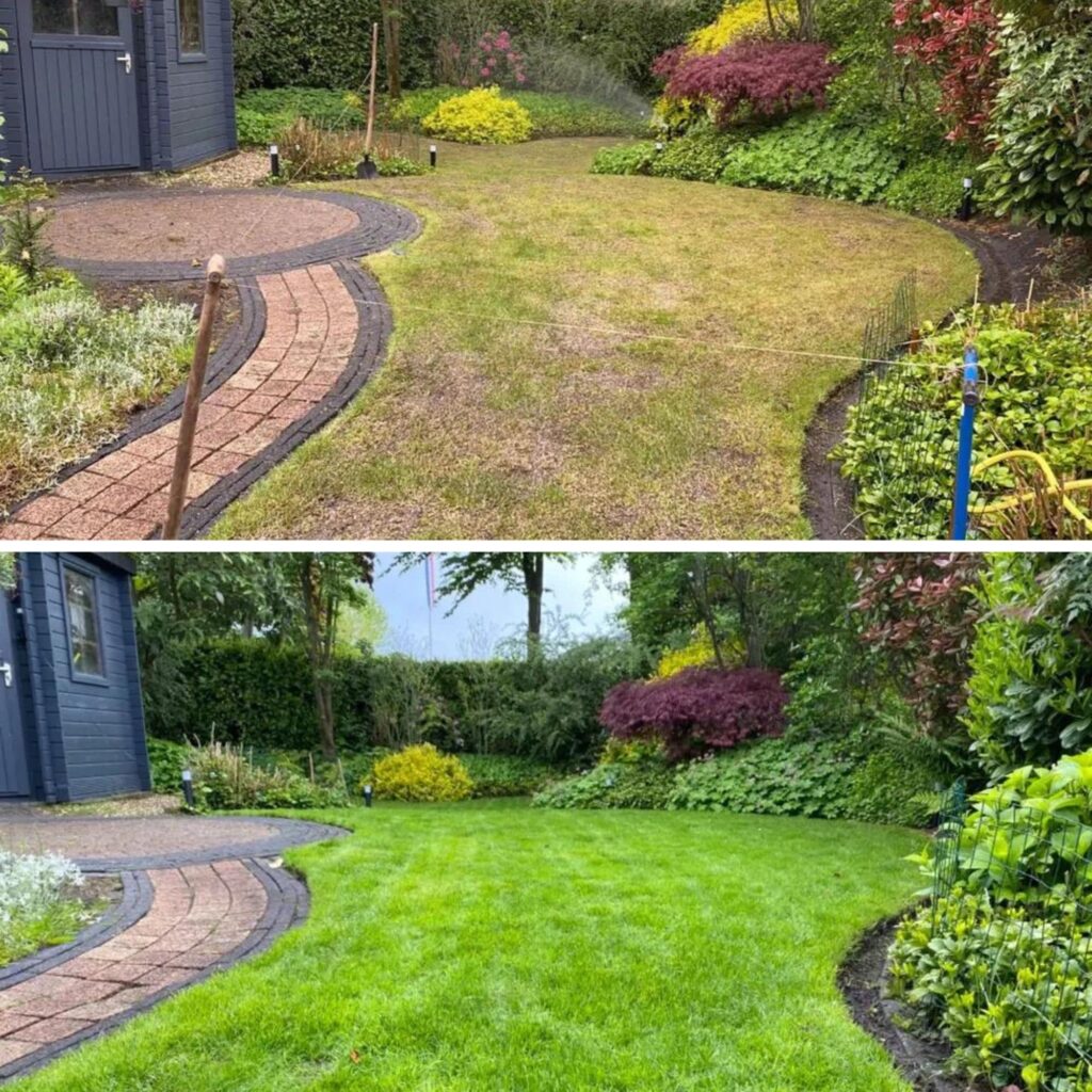 Two pictures of the same garden, one with dry grass, the other with fresh green grass