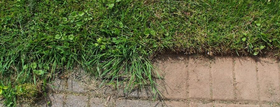 A partially edged lawn against a path